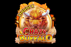CRAZY BUFFALO : Fachai