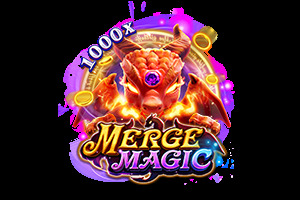 MERGE MAGIC : Fachai