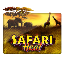 Safari Heat : Joker