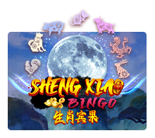 Sheng Xiao Bingo : Joker