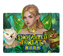 Enchanted Forest : Joker