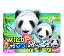 Wild Giant Panda : Joker
