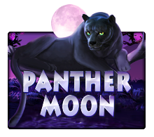 Panther Moon : Joker