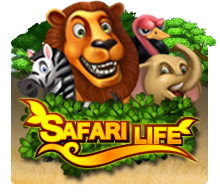 Safari Life : Joker
