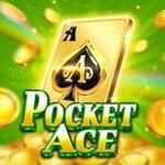 Pocket Ace : Micro Gaming