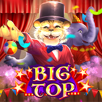 Big Top v90 : Micro Gaming