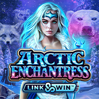 Arctic Enchantress : Micro Gaming