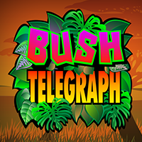 Bush Telegraph : Micro Gaming