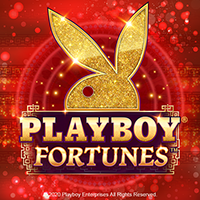 Playboy Fortunes : Micro Gaming