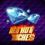 Red Hot Riches : Micro Gaming