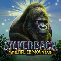 Silverback Multiplier Mountain : Micro Gaming