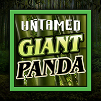 Untamed - Giant Panda : Micro Gaming