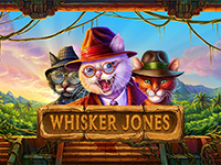 Whisker Jones : 1x2 Gaming