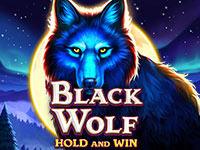 Black Wolf: Hold and Win : Booongo
