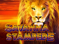 Savanna Stampede : Blueprint Gaming
