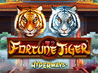Fortune Tiger Hyperways : Game Art