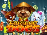 Fortune Dogs : Habanero