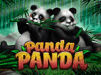 Panda Panda : Habanero