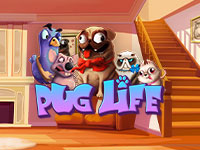 Pug Life : Hacksaw Gaming