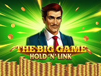The Big Game Hold 'N' Link : NetGames Ent