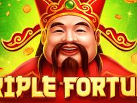 Triple Fortune : NetGames Ent
