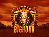 Little Bighorn : Nolimit City