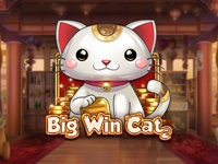 Big Win Cat : Play n Go