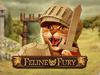 Feline Fury : Play n Go
