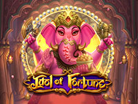 Idol of Fortune : Play n Go