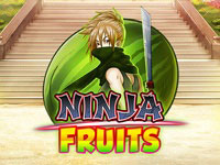 Ninja Fruits : Play n Go