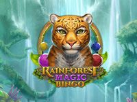 Rainforest Magic Bingo : Play n Go