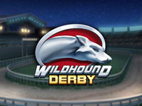 Wildhound Derby : Play n Go