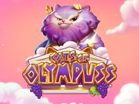 Cats of Olympuss : Push Gaming