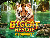 Big Cat Rescue Megaways : Red Tiger