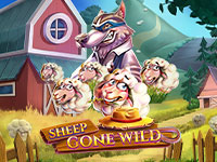 Sheep Gone Wild : Red Tiger