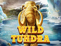 Wild Tundra : Red Tiger