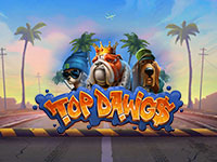 Top Dawg$ : Relax Gaming