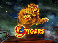 9 Tigers : Wazdan