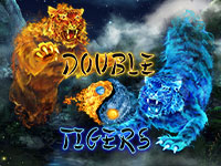 Double Tigers : Wazdan