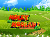 Moley Moolah : Yggdrasil