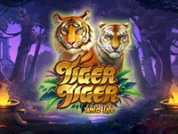 Tiger Tiger : Yggdrasil