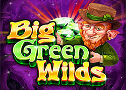 Big Green Wilds 96.05 : SkyWind Group