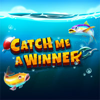 Catch me a Winner 94.00 : SkyWind Group