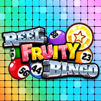 Reel Fruity Bingo 94.01 : SkyWind Group