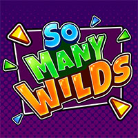 So Many Wilds 94.01 : SkyWind Group