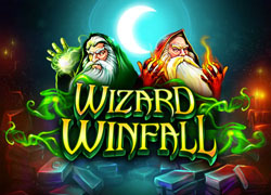 Wizard WinFall 94.03 : SkyWind Group