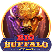 Big Buffalo : SkyWind Group