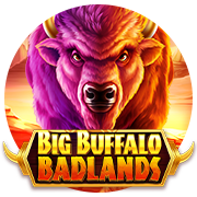 Big Buffalo Badlands 965 : SkyWind Group