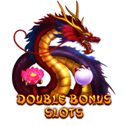 Double Bonus : SkyWind Group