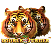 Double Jungle : SkyWind Group